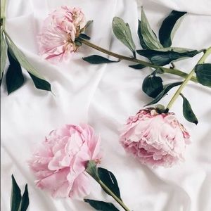 Meet your Posher, Annie